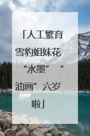 人工繁育雪豹姐妹花“水墨”“油画”六岁啦