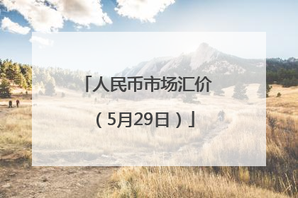 人民币市场汇价（5月29日）