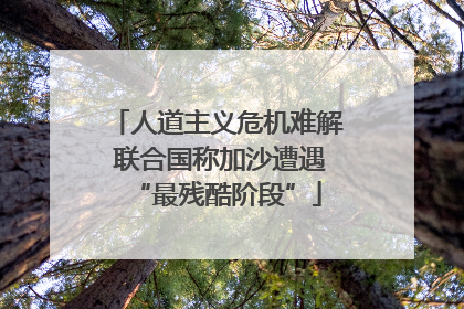 人道主义危机难解 联合国称加沙遭遇“最残酷阶段”