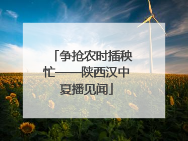 争抢农时插秧忙——陕西汉中夏播见闻