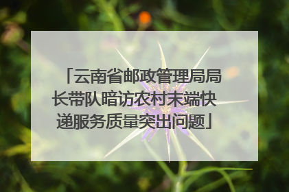云南省邮政管理局局长带队暗访农村末端快递服务质量突出问题