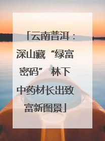 云南普洱：深山藏“绿富密码” 林下中药材长出致富新图景