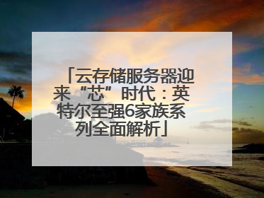 云存储服务器迎来“芯”时代：英特尔至强6家族系列全面解析