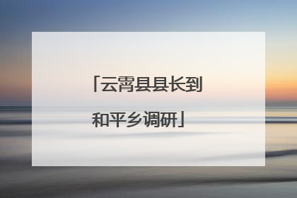 云霄县县长到和平乡调研