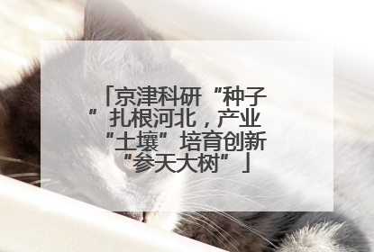 京津科研“种子”扎根河北，产业“土壤”培育创新“参天大树”