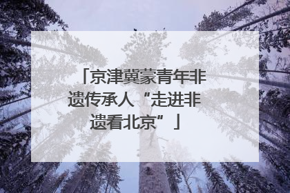 京津冀蒙青年非遗传承人“走进非遗看北京”