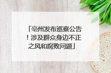亳州发布巡察公告！涉及群众身边不正之风和腐败问题