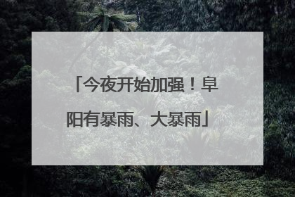 今夜开始加强！阜阳有暴雨、大暴雨