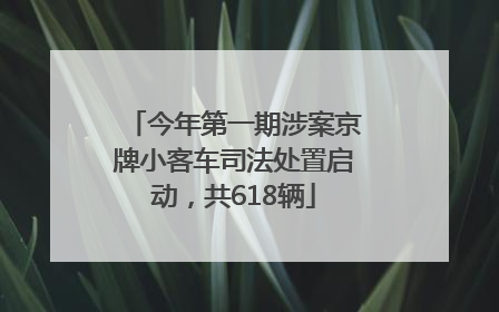 今年第一期涉案京牌小客车司法处置启动，共618辆