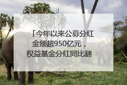 今年以来公募分红金额超950亿元，权益基金分红同比翻倍｜招财猫