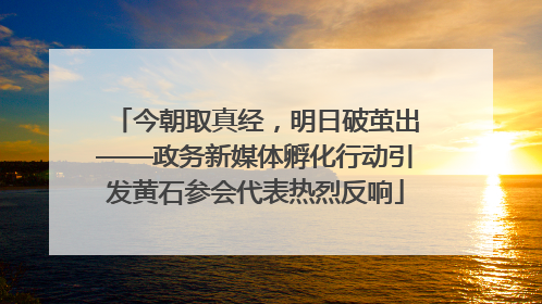 今朝取真经，明日破茧出——政务新媒体孵化行动引发黄石参会代表热烈反响