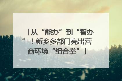 从“能办”到“智办”！新乡多部门亮出营商环境“组合拳”
