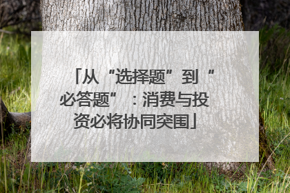 从“选择题”到“必答题”：消费与投资必将协同突围