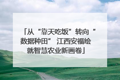 从“靠天吃饭”转向“数据种田” 江西安福绘就智慧农业新画卷