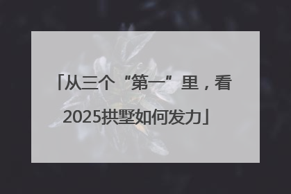 从三个“第一”里，看2025拱墅如何发力