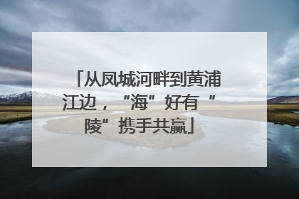 从凤城河畔到黄浦江边，“海”好有“陵”携手共赢