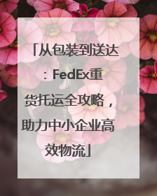 从包装到送达：FedEx重货托运全攻略，助力中小企业高效物流