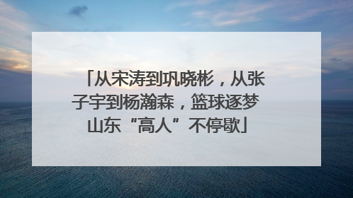 从宋涛到巩晓彬，从张子宇到杨瀚森，篮球逐梦山东“高人”不停歇