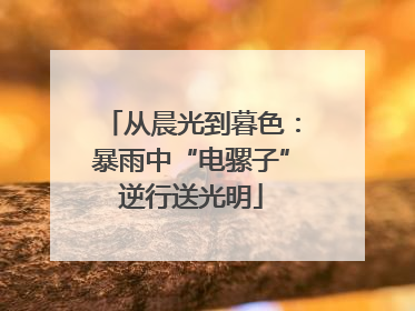 从晨光到暮色：暴雨中“电骡子”逆行送光明