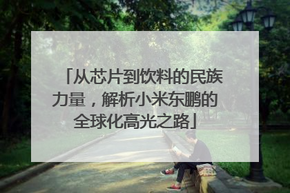 从芯片到饮料的民族力量，解析小米东鹏的全球化高光之路