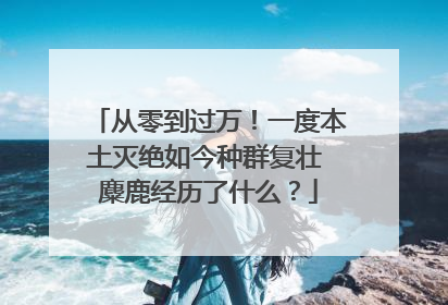 从零到过万！一度本土灭绝如今种群复壮 麋鹿经历了什么？
