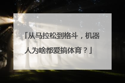 从马拉松到格斗，机器人为啥都爱搞体育？
