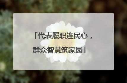 代表履职连民心，群众智慧筑家园