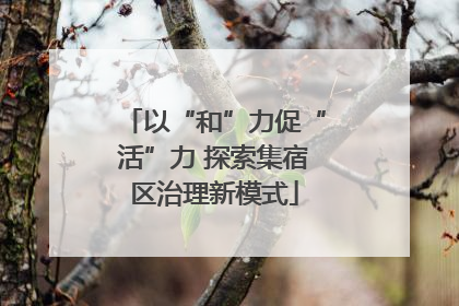 以“和”力促“活”力 探索集宿区治理新模式