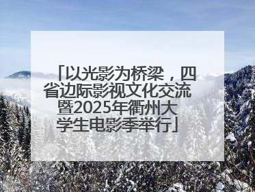 以光影为桥梁，四省边际影视文化交流暨2025年衢州大学生电影季举行