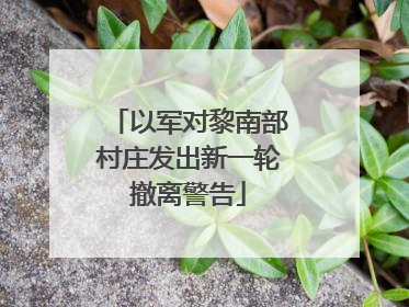 以军对黎南部村庄发出新一轮撤离警告