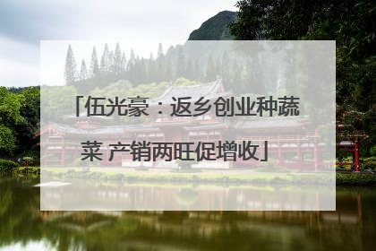 伍光豪：返乡创业种蔬菜 产销两旺促增收