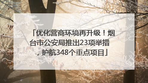 优化营商环境再升级！烟台市公安局推出23项举措，护航348个重点项目