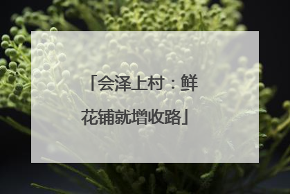 会泽上村：鲜花铺就增收路