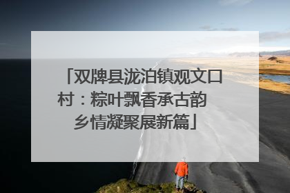 双牌县泷泊镇观文口村：粽叶飘香承古韵 乡情凝聚展新篇