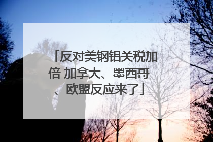 反对美钢铝关税加倍 加拿大、墨西哥、欧盟反应来了