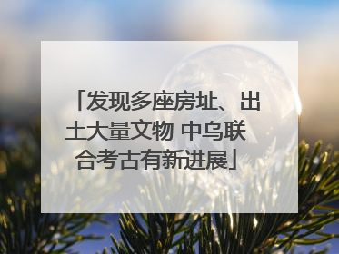 发现多座房址、出土大量文物 中乌联合考古有新进展