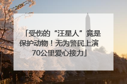 受伤的“汪星人”竟是保护动物！无为警民上演70公里爱心接力