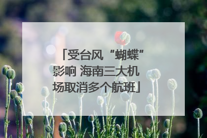 受台风“蝴蝶”影响 海南三大机场取消多个航班