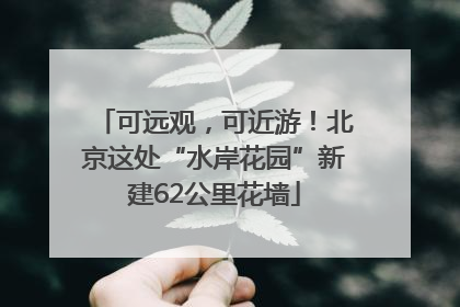 可远观，可近游！北京这处“水岸花园”新建62公里花墙