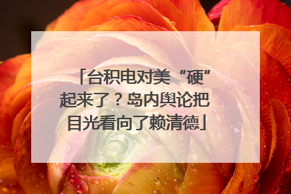 台积电对美“硬”起来了？岛内舆论把目光看向了赖清德