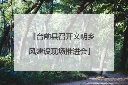 台前县召开文明乡风建设现场推进会