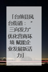 台前县凤台街道：“三向发力”优化营商环境 赋能企业发展新活力