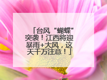台风“蝴蝶”突袭！江西将迎暴雨+大风，这天千万注意！
