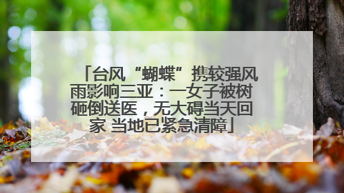 台风“蝴蝶”携较强风雨影响三亚：一女子被树砸倒送医，无大碍当天回家 当地已紧急清障