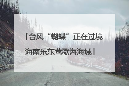 台风“蝴蝶”正在过境海南乐东莺歌海海域