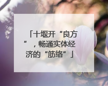 十堰开“良方”，畅通实体经济的“筋络”