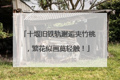 十堰旧铁轨邂逅夹竹桃，繁花似画莫轻触！