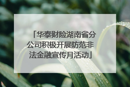 华泰财险湖南省分公司积极开展防范非法金融宣传月活动