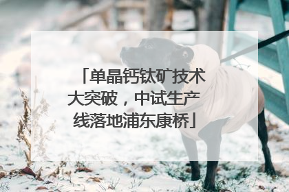 单晶钙钛矿技术大突破，中试生产线落地浦东康桥