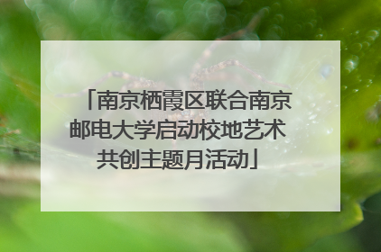 南京栖霞区联合南京邮电大学启动校地艺术共创主题月活动
